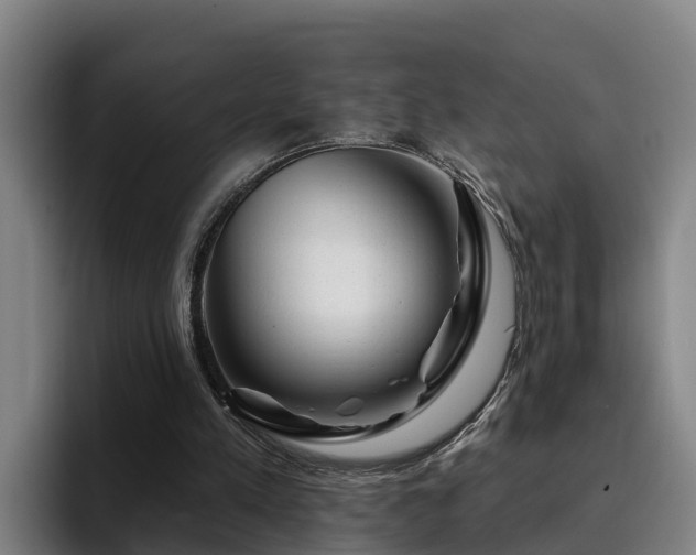 X0000094940197200712061238