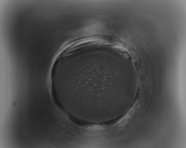 X0000094940198200712061238