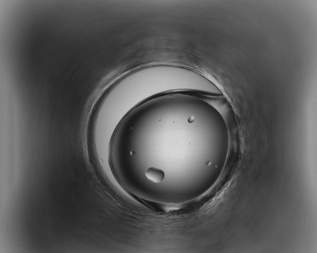 X0000094940199200712061238