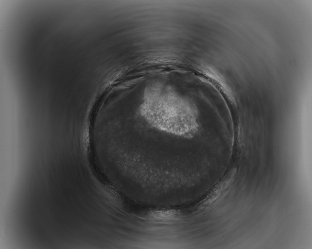 X0000094940202200712061238