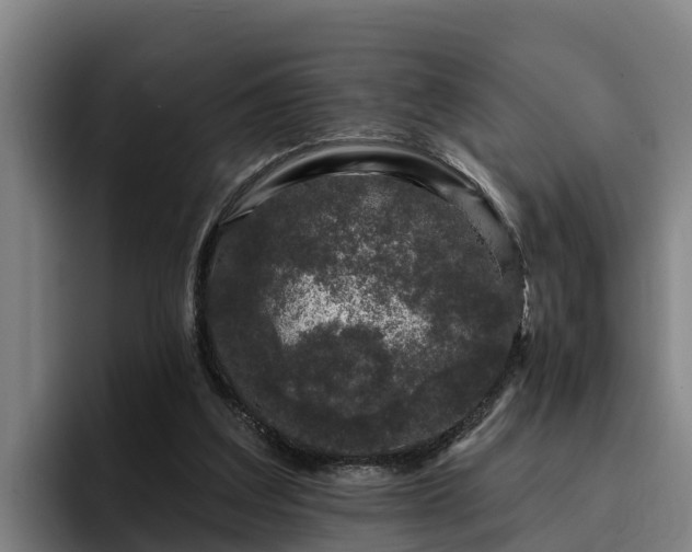 X0000094940203200712061238