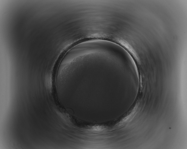 X0000094940204200712061238