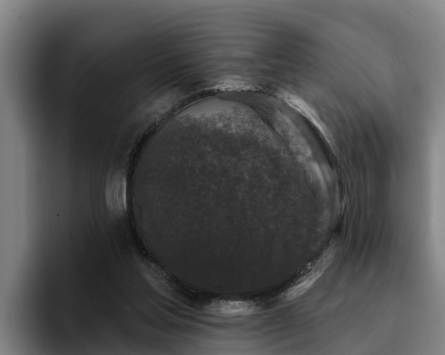 X0000094940205200712061238