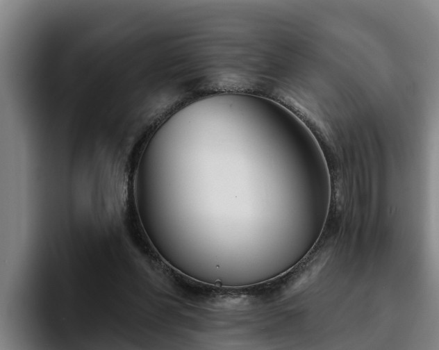 X0000094940206200712061238