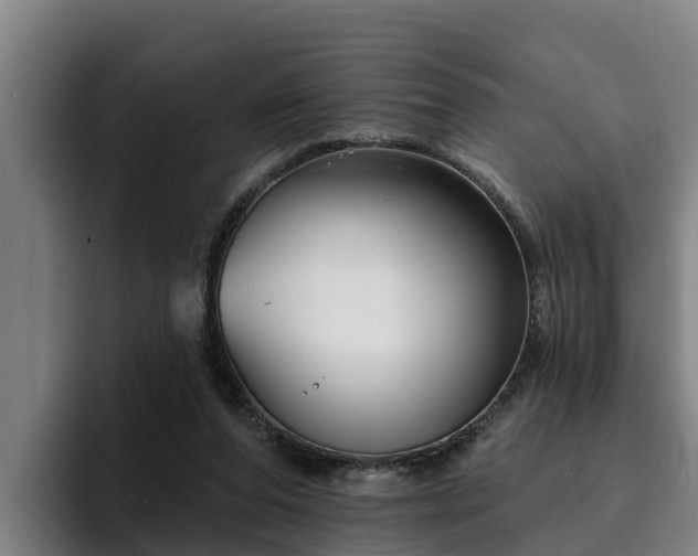 X0000094940208200712061238