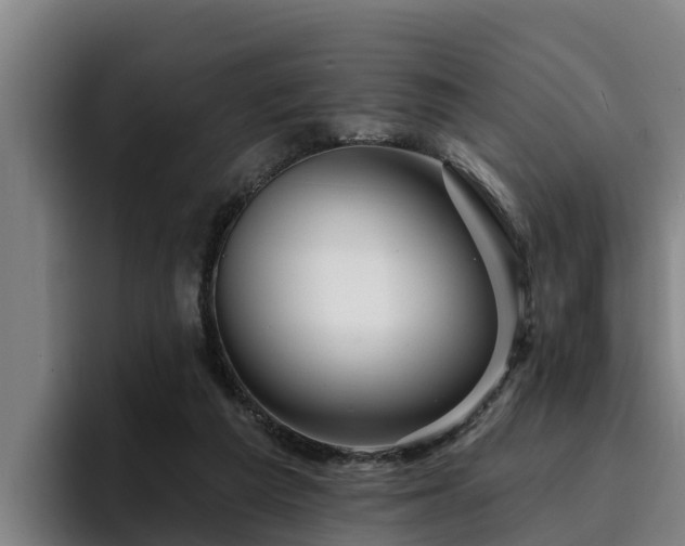 X0000094940209200712061238