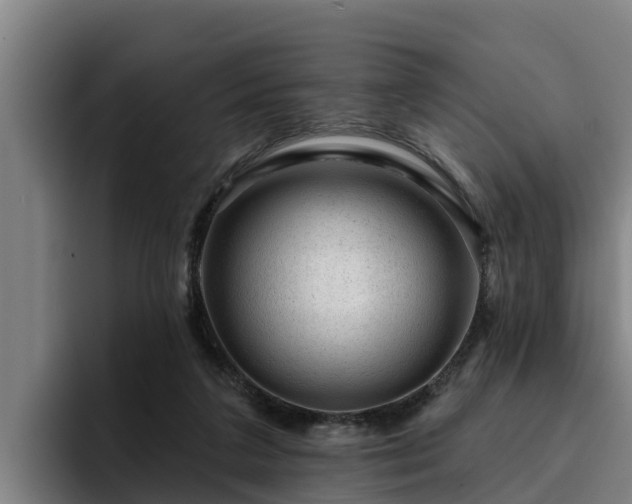 X0000094940211200712061238