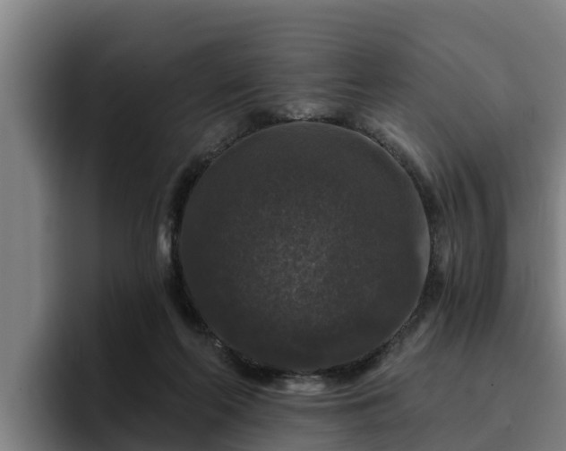 X0000094940214200712061238