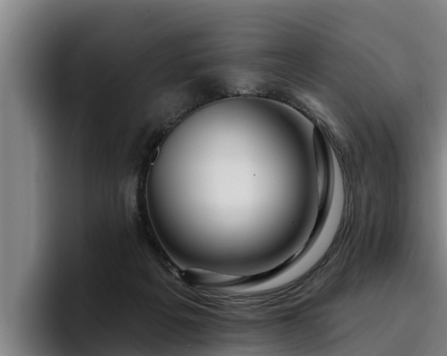 X0000094940217200712061238