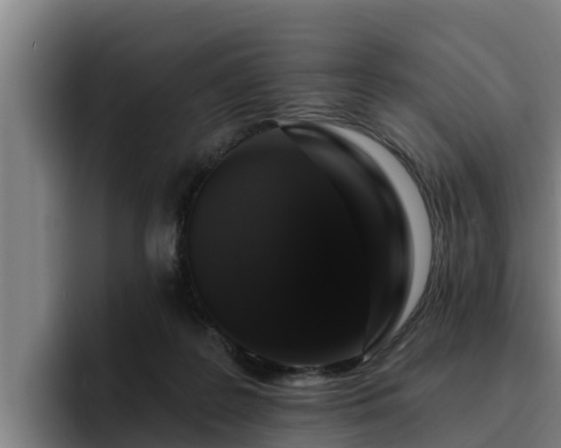 X0000094940219200712061238