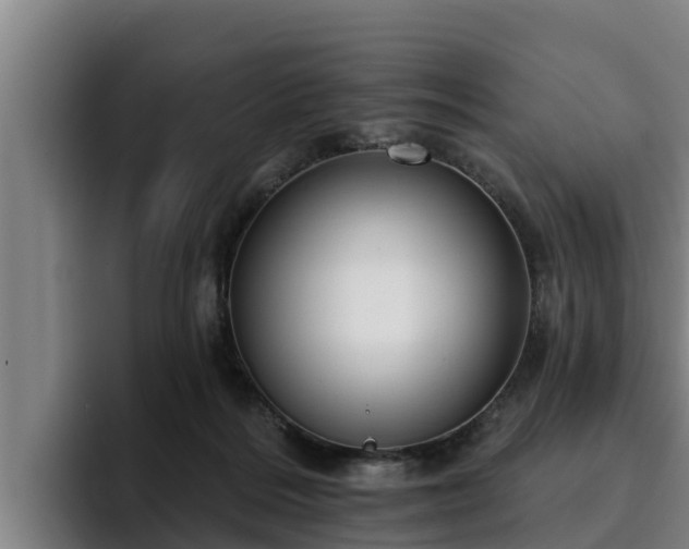 X0000094940220200712061238