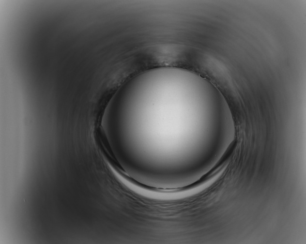 X0000094940221200712061237