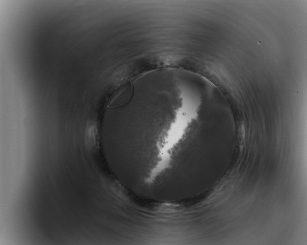 X0000094940222200712061237