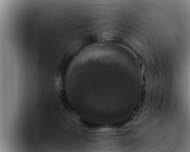 X0000094940224200712061237