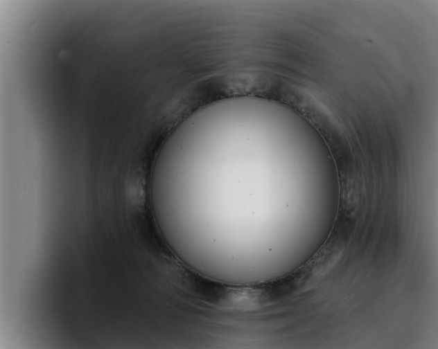 X0000094940226200712061237