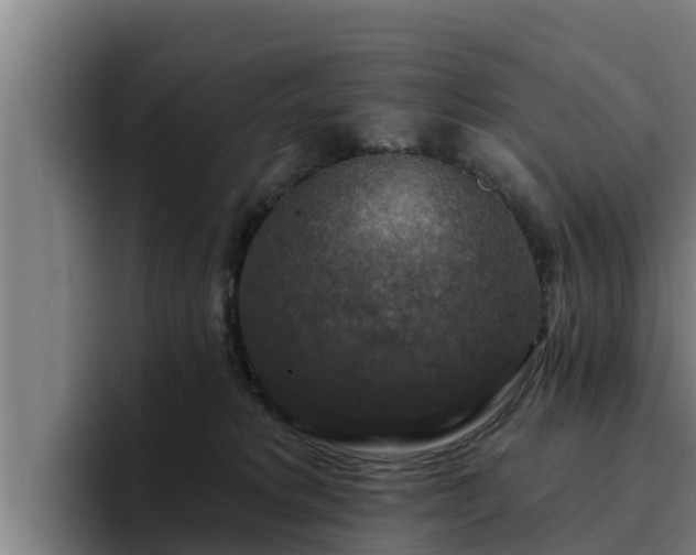 X0000094940229200712061237