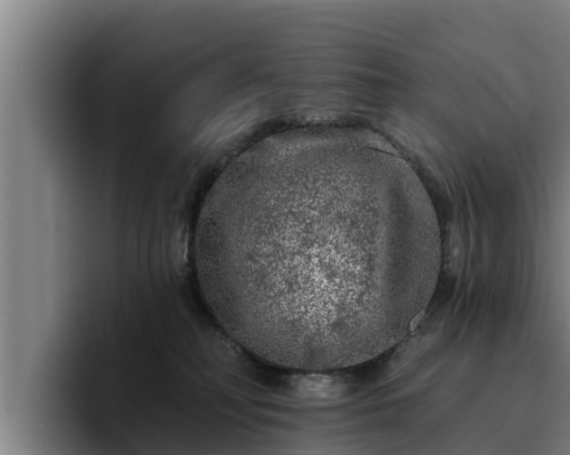 X0000094940230200712061237