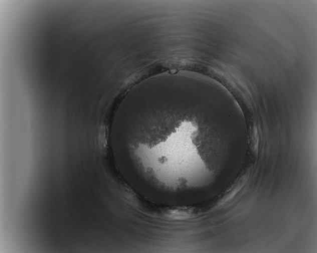 X0000094940232200712061237