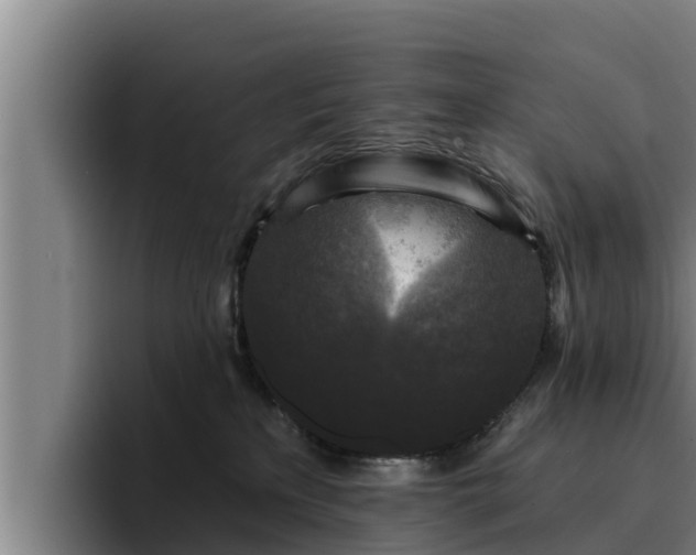 X0000094940233200712061237