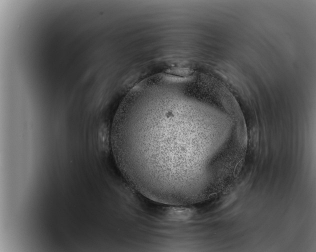 X0000094940234200712061237