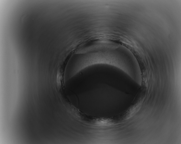 X0000094940235200712061237