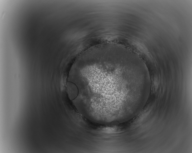 X0000094940236200712061237