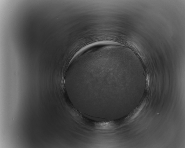 X0000094940237200712061237