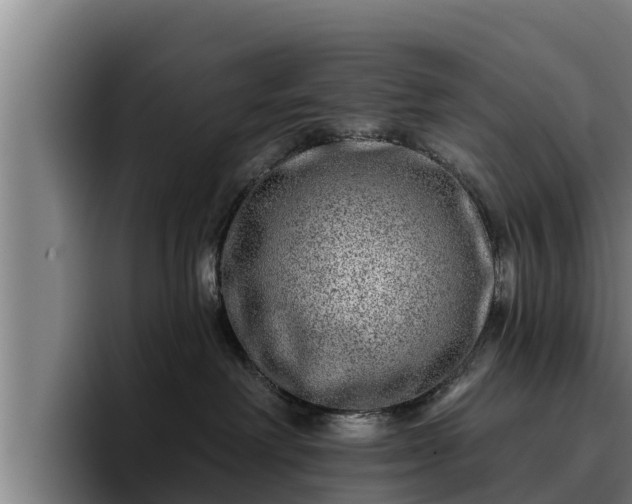 X0000094940238200712061237