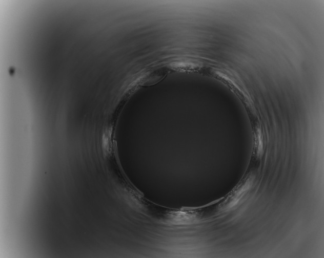 X0000094940239200712061237