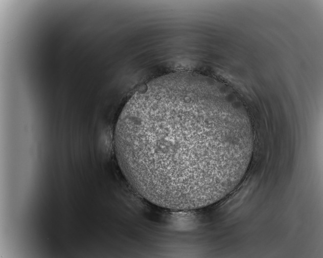 X0000094940240200712061237