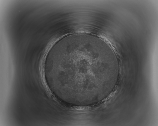 X0000094940241200712061237