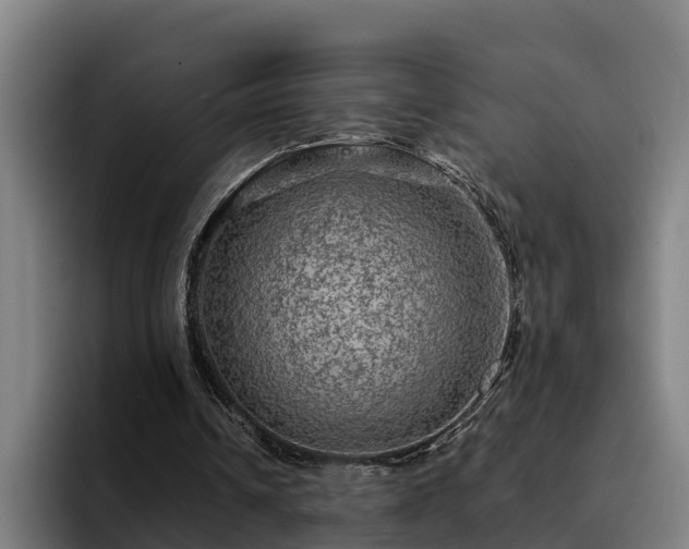 X0000094940242200712061237