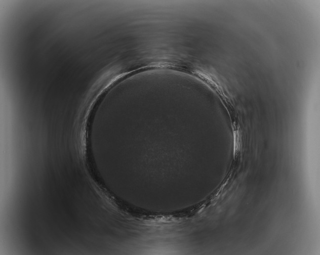 X0000094940243200712061237