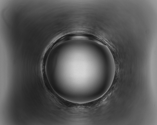 X0000094940244200712061237