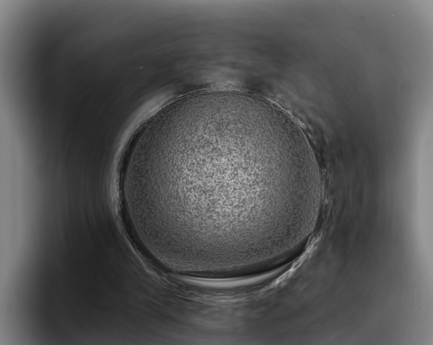 X0000094940245200712061237