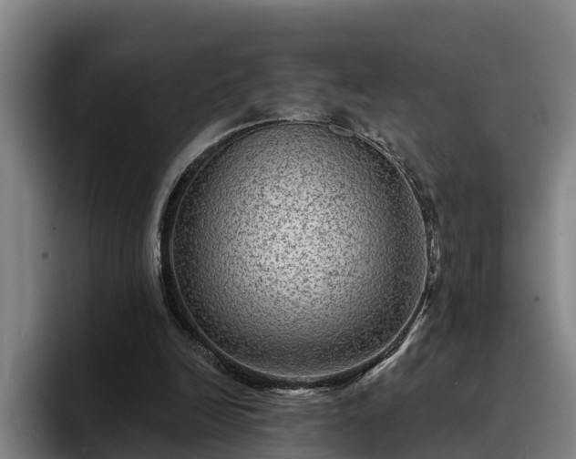 X0000094940246200712061237