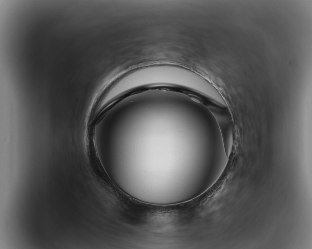 X0000094940248200712061237