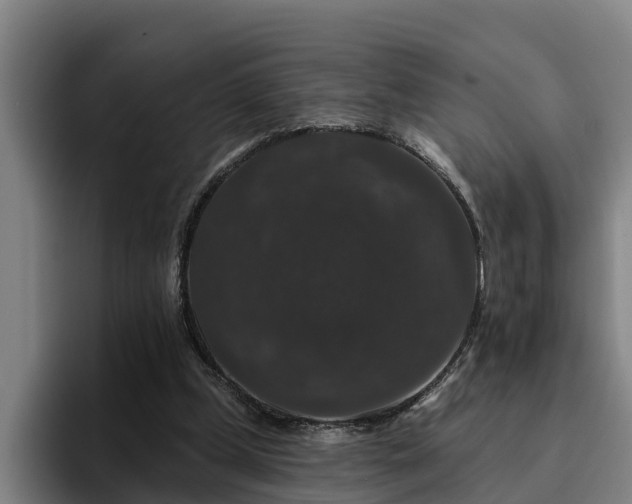 X0000094940249200712061237