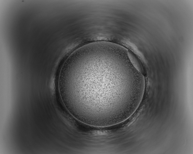 X0000094940250200712061237