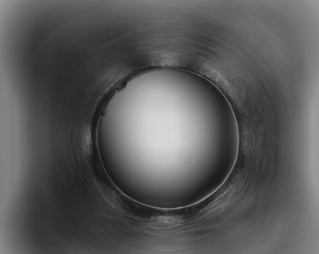 X0000094940251200712061237