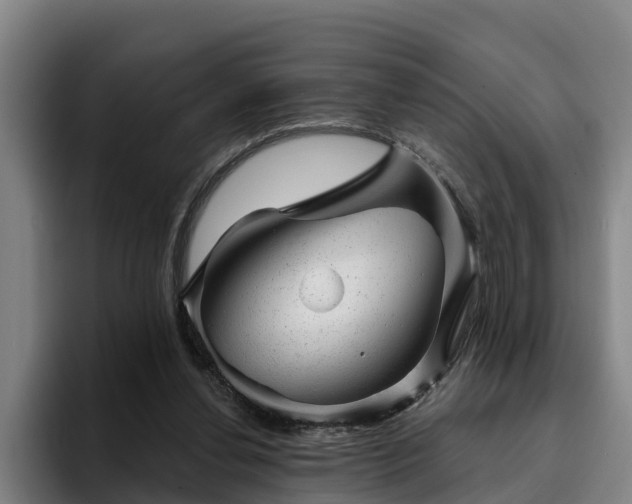 X0000094940252200712061237