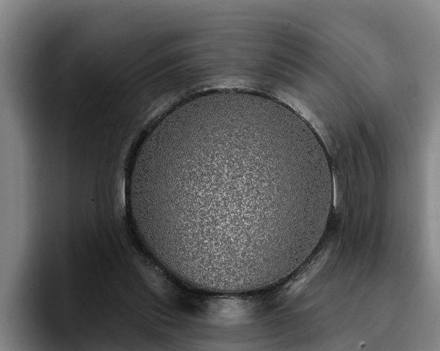 X0000094940253200712061237