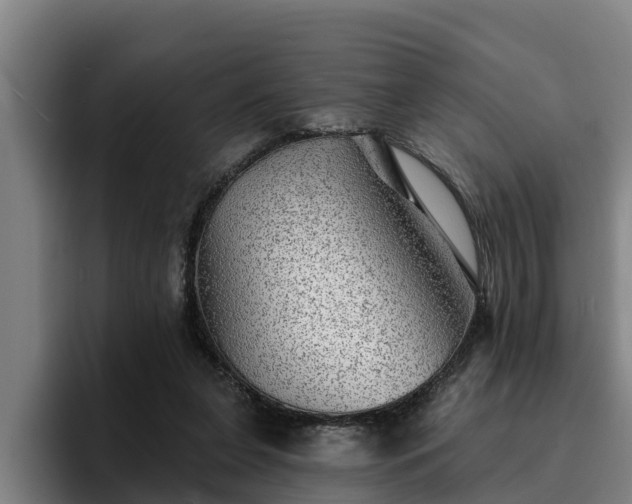 X0000094940255200712061237