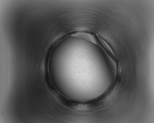 X0000094940256200712061237