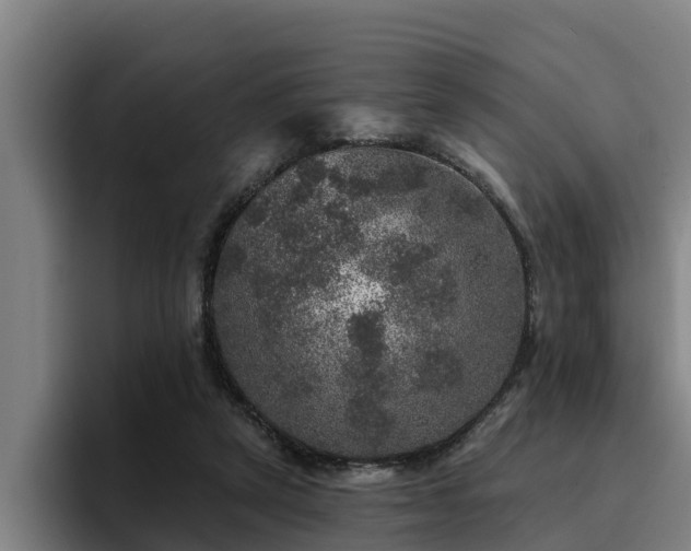 X0000094940257200712061237