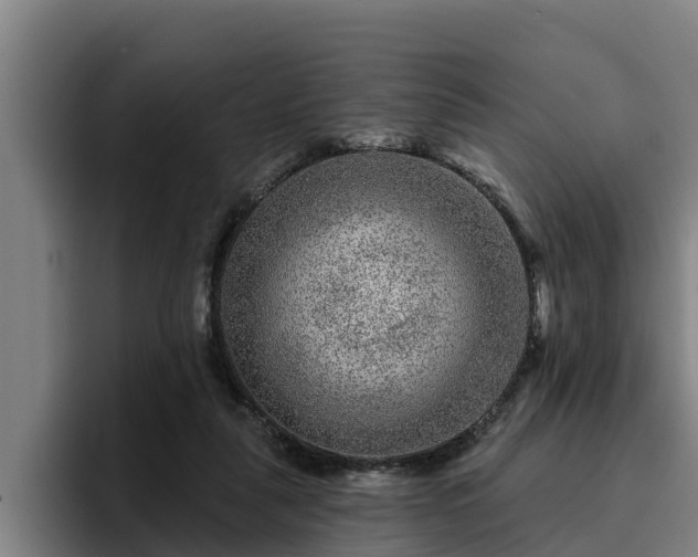 X0000094940259200712061237