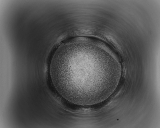 X0000094940260200712061237