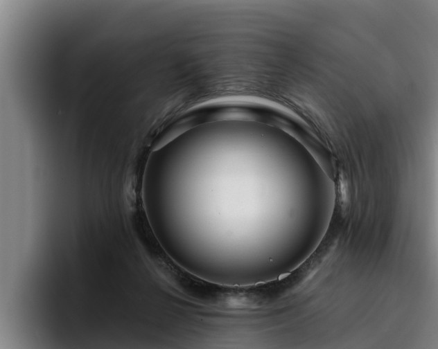 X0000094940264200712061237