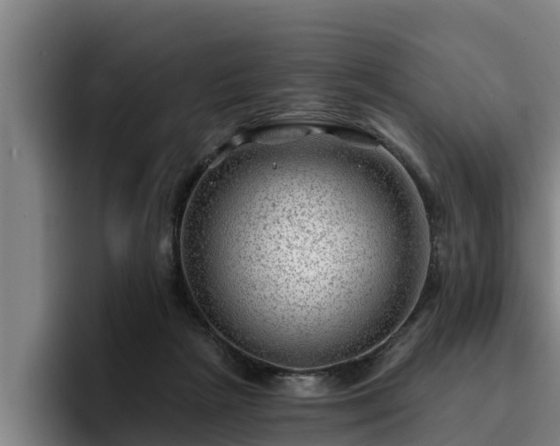 X0000094940265200712061237