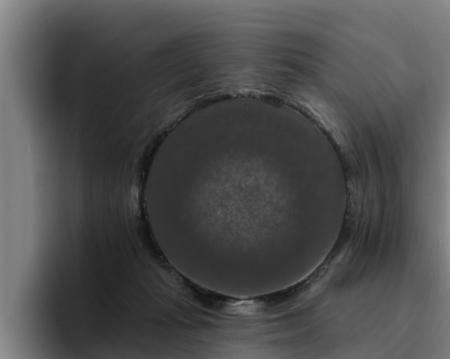 X0000094940269200712061237